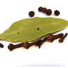 Bay Leaves For Health Benefits  Coconut health benefits Health Health  benefits