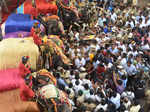 Dasara elephants reach Mysore Palace