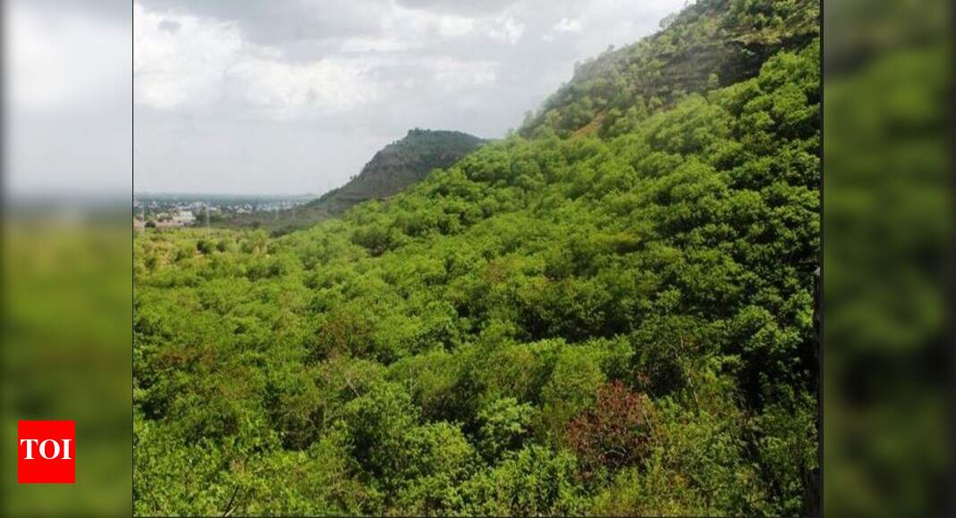 Centre gives Rs 47,000 crore to 27 states to boost green cover India