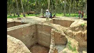 Tamil Nadu archaeology dept planning underwater excavations