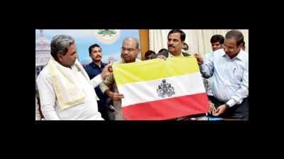 Karnataka govt to drop state flag issue