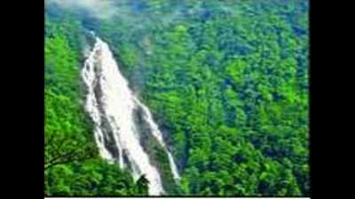 Kerala gets Rs 81 crore CAMPA fund to increase forest cover
