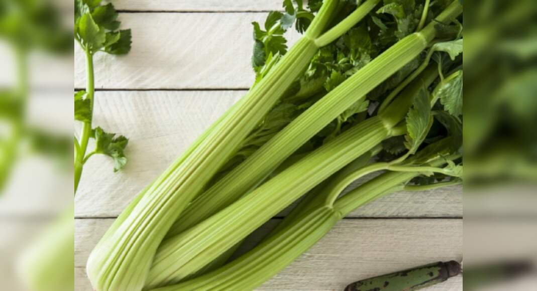 Find out if you can burn calories by consuming celery