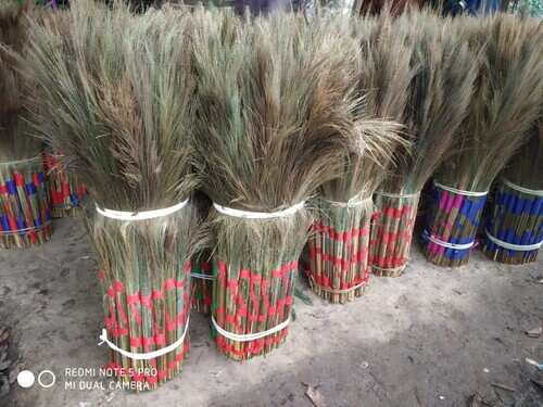 Nagaland&rsquo;s hill broom grass set to make its presence felt nationally