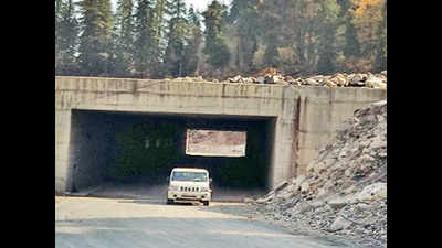 Rohtang tunnel may miss December deadline