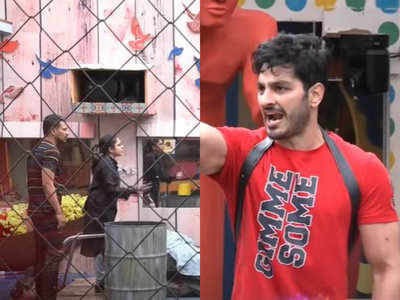 Bigg Boss Telugu 3, Day 45, preview: Ali Reza argues with Punarnavi over getting physical in the task; netizens support the actor