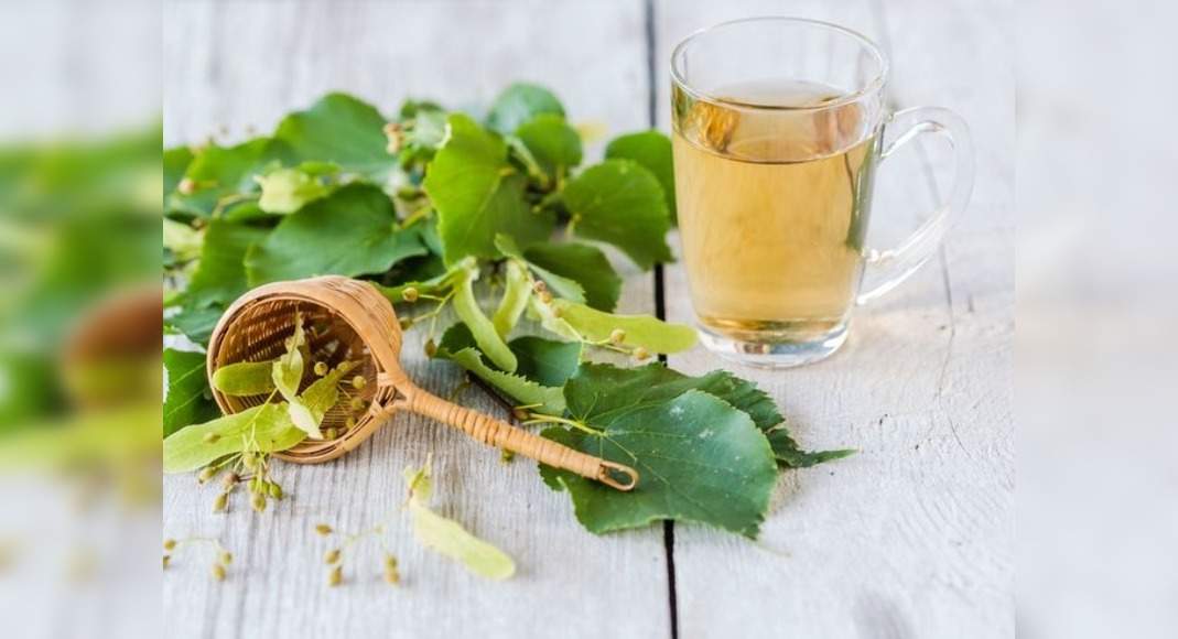 health-benefits-of-linden-tea-you-should-know