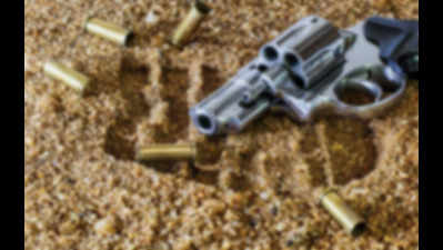 Ghaziabad: Drunk man shoots wife in UP's Loni