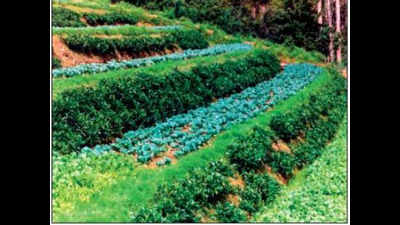 Farming in hills needs to take sustainable turn