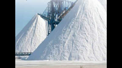 60 lakh-tn salt piles up in Kutch | Rajkot News - Times of India