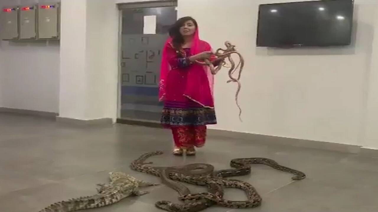 Rabi Pirzada video: Pakistani singer threatens PM Modi with with snakes;  video goes viral | - Times of India