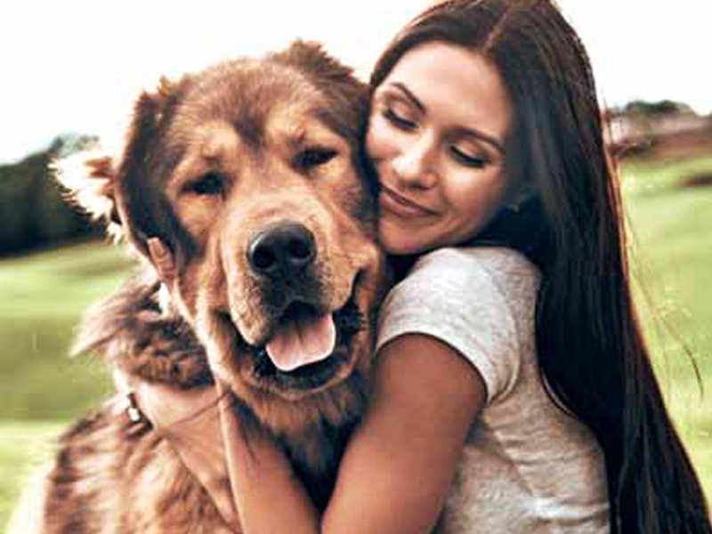 Lessons I learnt from my dog - Times of India