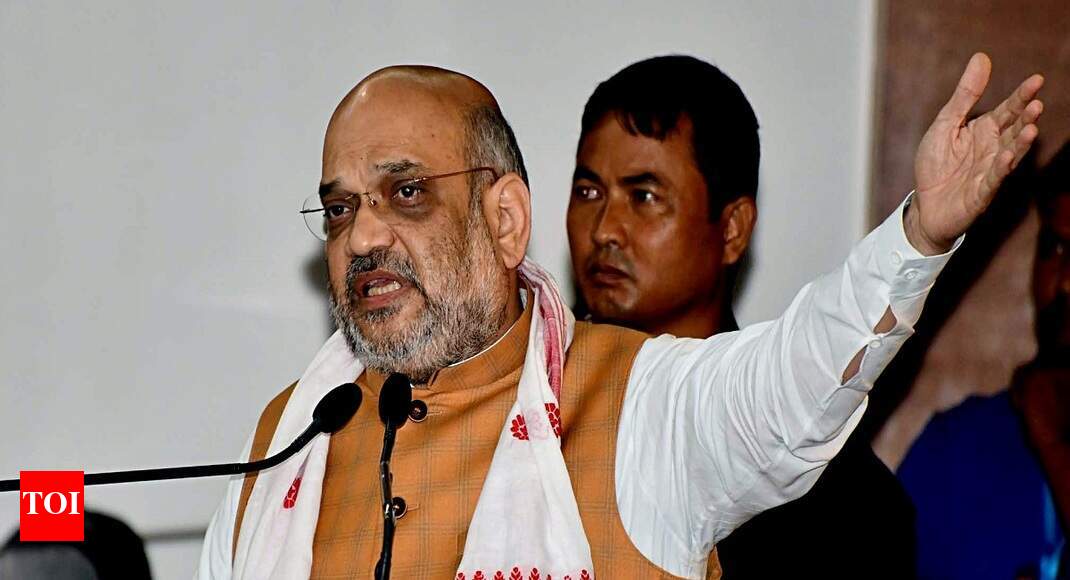 No illegal immigrant to be allowed: Amit Shah