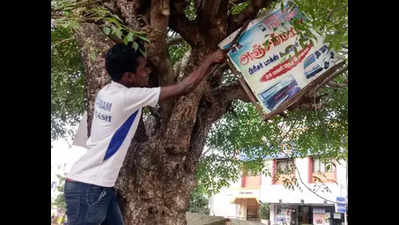 Chennai Corporation to crack down on illegal ads on trees