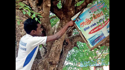 Messing with trees can cost you Rs 25,000 in Chennai