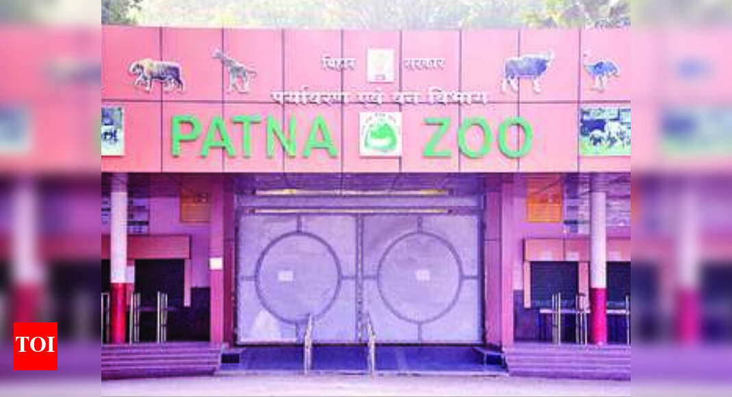 Patna zoo to screen another 3D film from this monthend Patna News