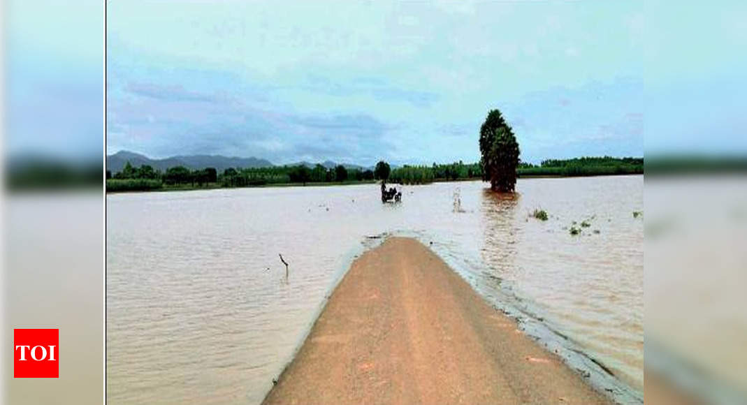 Incessant rain puts Godavari districts under flood scare ...