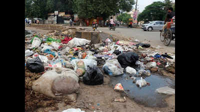 Sanitation workers don’t show up, New Colony turns into dumpsite