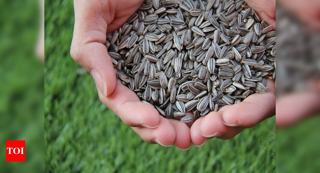 Sunflower Seeds Try These Options To Enjoy The Health Benefits Of