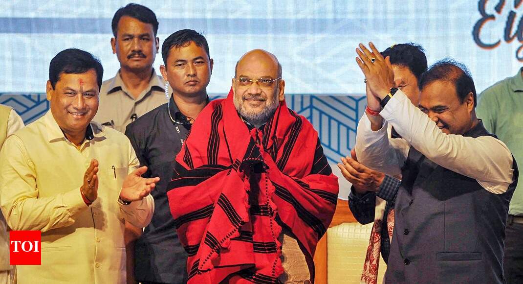 Will expel all illegal immigrants from India: Shah