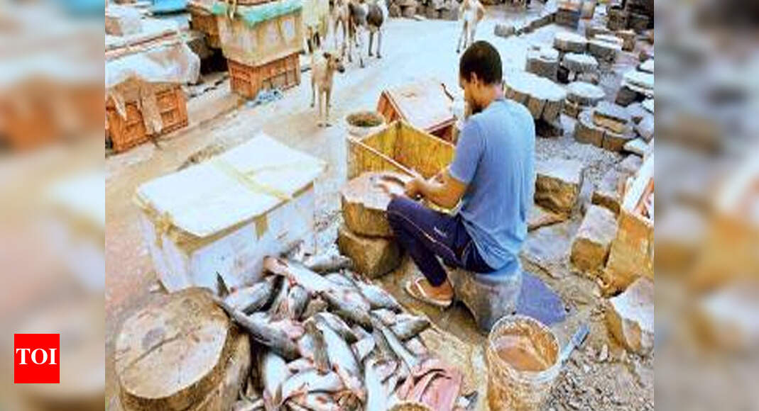Begum Bazar fish market stinks to the gills, for GHMC it’s business as