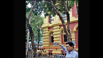 Transplanted, 100-year-old tree spreads branches in Kolkata