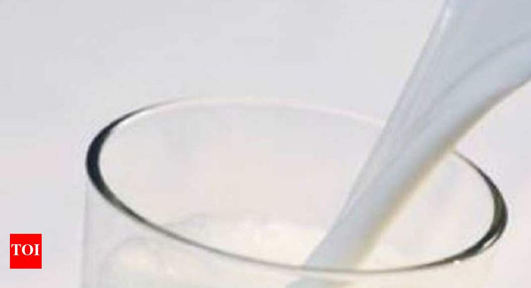 'World's earliest evidence of dairy consumption found' Times of India