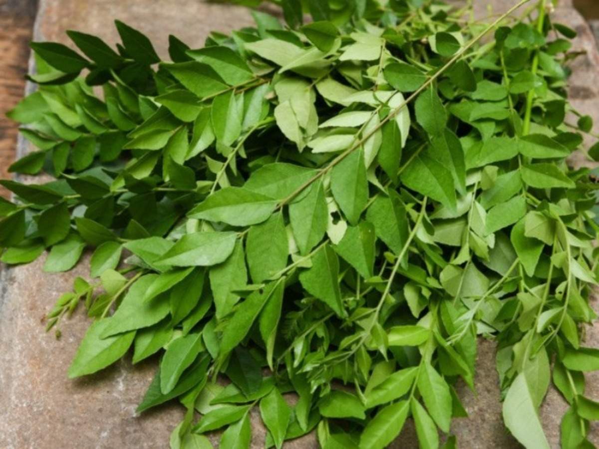 Best Ways To Use Curry Leaves For Hair Growth