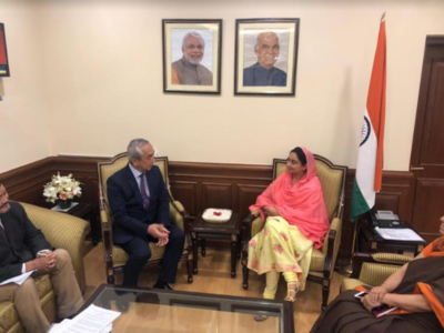 Japan keen to invest in electronics, IT, food sector in Punjab: Harsimrat Badal