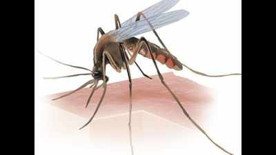 Vijayawada in grip of viral fever, no dengue cases yet