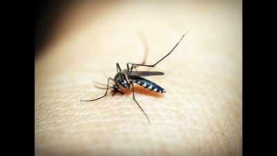 Mobile clinics gear up to tackle spurt in dengue cases