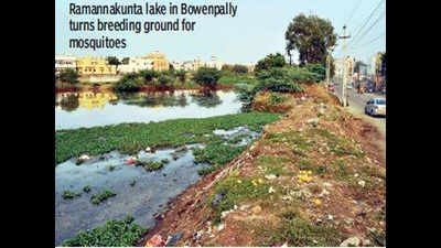 Secunderabad: Vectors breed in Ramannakunta lake, locals live in fear of diseases