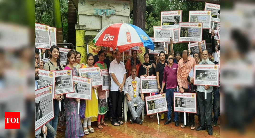 Animal activists demand stronger animal protection laws in Mumbai | Mumbai  News - Times of India