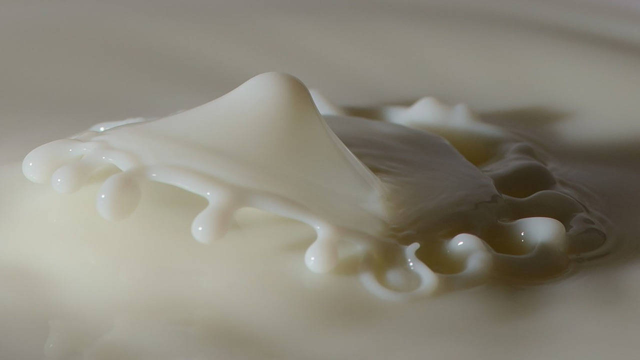 Raw milk is trending for some reason—so are nasty, drug-resistant  infections