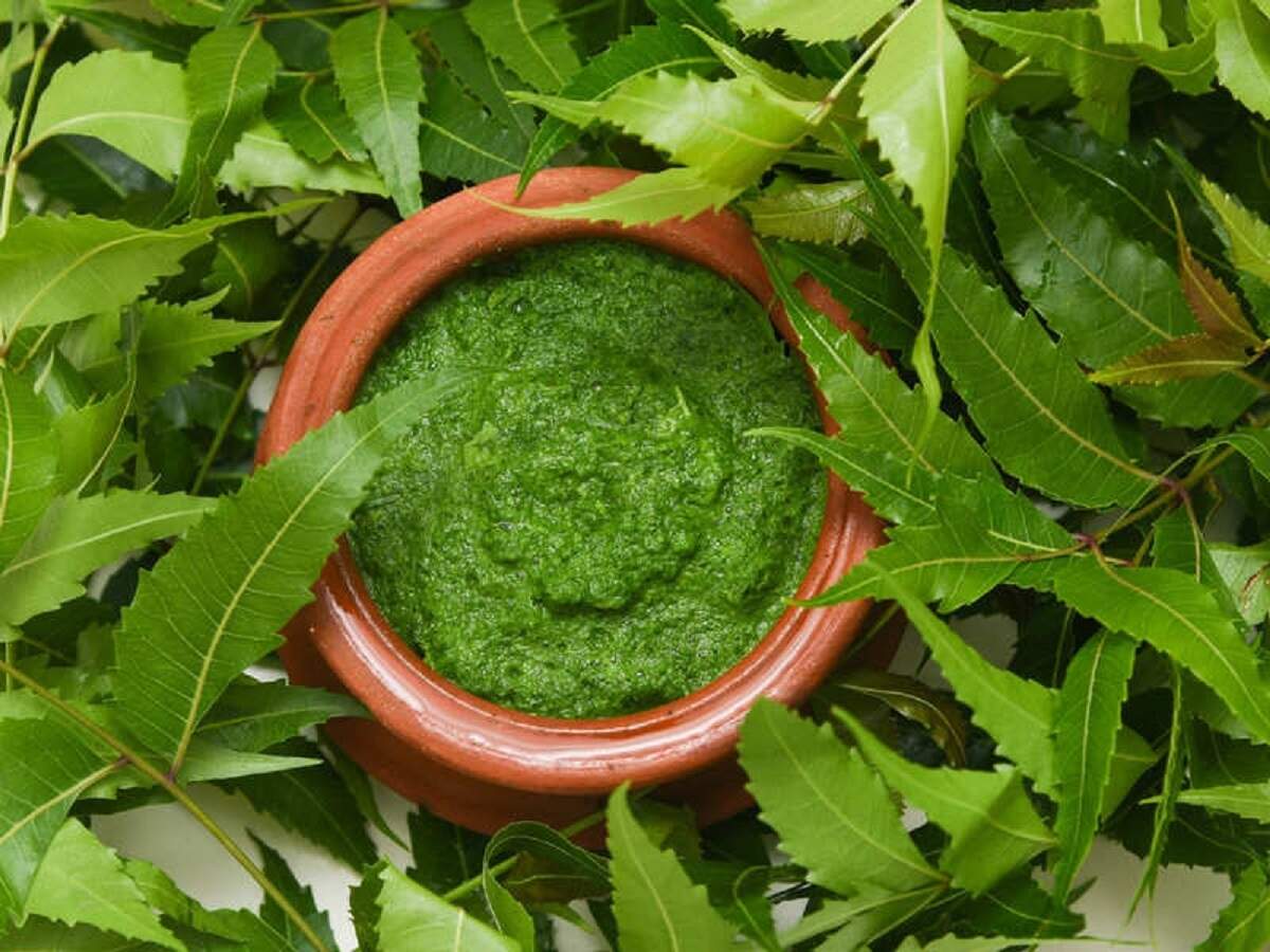 neem tree face wash