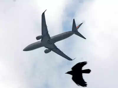 SriLankan Airlines plane suffers bird hit while approaching Trichy airport