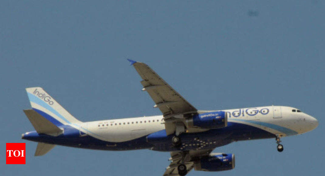 Indigo Airlines Baggage Allowance » STRONGER