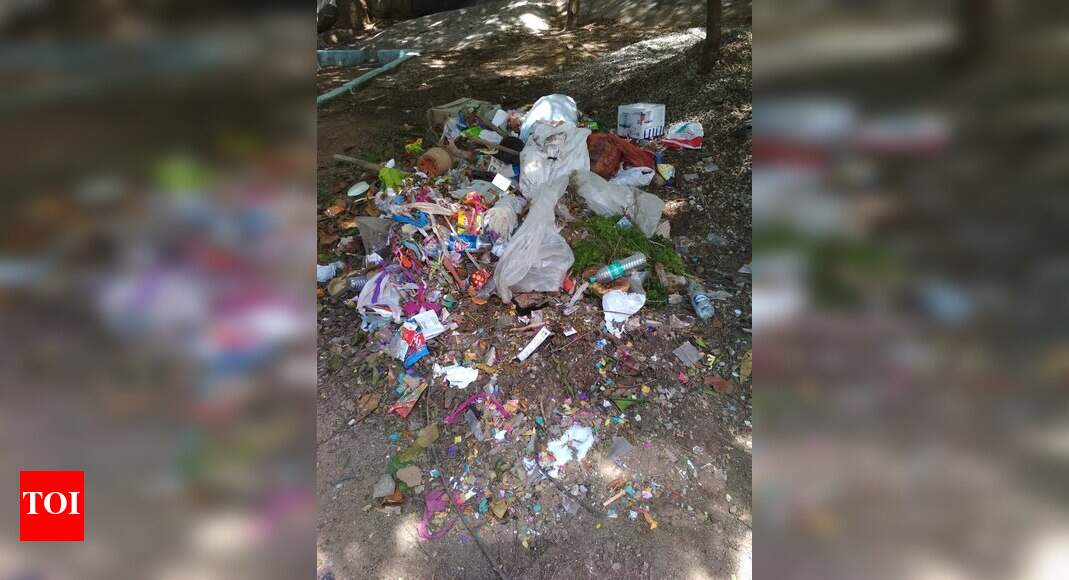 garbage-collection-times-of-india