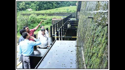 Dhamne dam safe, Maharashtra tells Goa