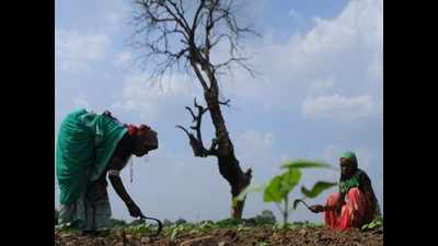 Marathwada seeks liberation from drought-prone tag