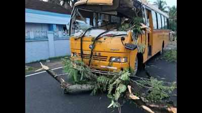 Driver hurt as tree falls on school bus in Kochi