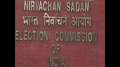 ECI reviews assembly poll preparations