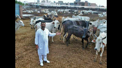 After 3-year lull, cow vigilante Satish Kumar makes comeback in Punjab