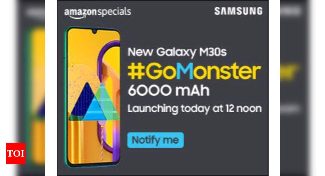 samsung m30 6000mah battery price