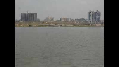 Bengaluru: Stay order on Shiva statue in Begur Lake to continue