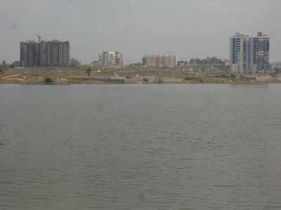 Bengaluru: Stay order on Shiva statue in Begur Lake to continue ...