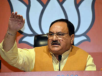 Tell voters about Article 370, triple talaq: Nadda to BJP workers