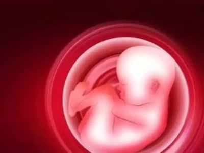 Ceiling of 20 weeks for abortion can't be extended: Centre to SC