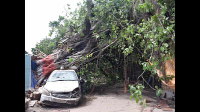 10 Bihar policemen injured as tree falls on police lines barrack