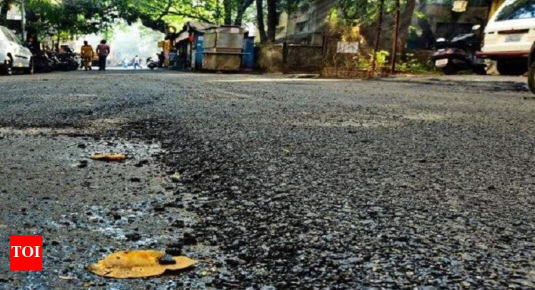 Himachal first in country to use plastic waste in roads, project